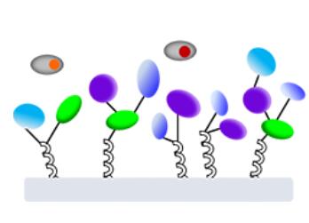 含钯废水适宜使用除钯吸附剂吗