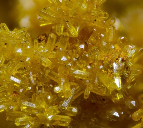 沾染食品除砷剂怎么办