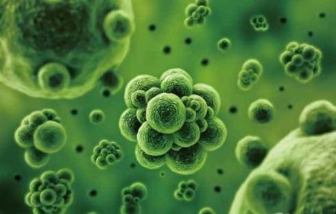 贵金属回收吸附剂生产厂家详解：回收贵金属钯更适宜采用哪些方法