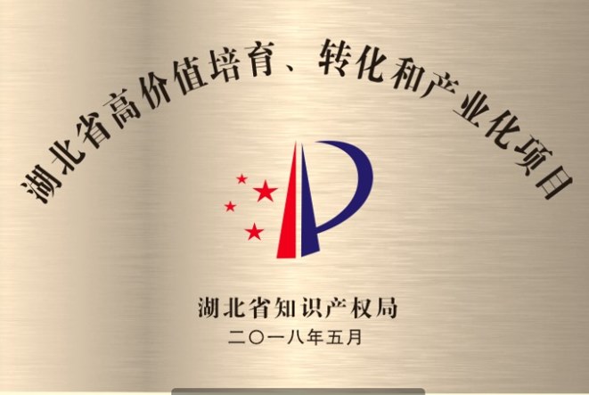 湖北省高价值专利培育、转化和产业化项目